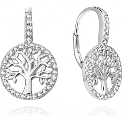 Agato náušnice AGUC3555