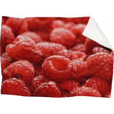 Impar fleece deka Maliny Podšití beránkem ANO 150x120