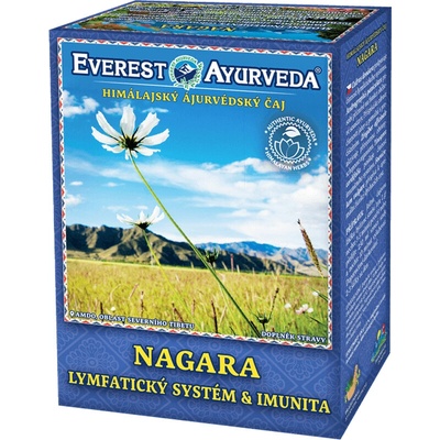 Everest Ayurveda Ajurvédsky čaj Nagara 2 x 100 g