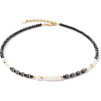 Coeur de lion 1132/10-1314 (1132/10-1314)