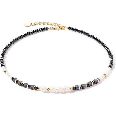 Coeur de lion 1132/10-1314 (1132/10-1314)