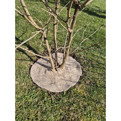 Pemi Corporation ochrana pred burinou 21 cm 350 g/m² 2 ks