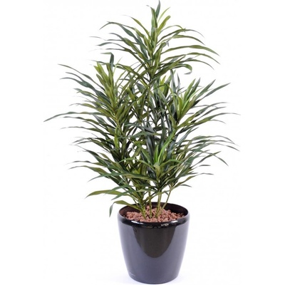 Umělá palma Dracena Anita, 75cm
