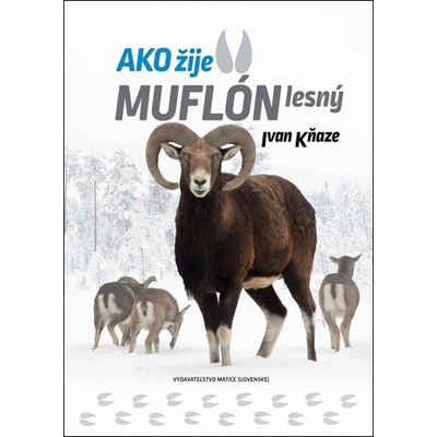 Ako žije muflón lesný