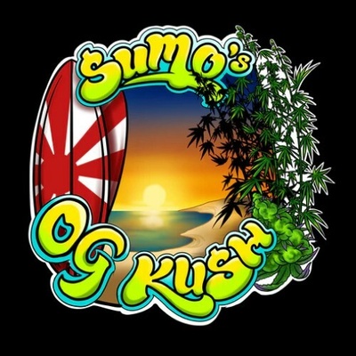 Sumo Seeds Sumos OG Kush semienka neobsahujú THC 3 ks
