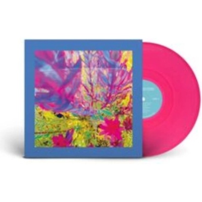 REDS PINKS AND PURPLES - The Past Is A Garden I Never Fed LP