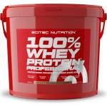 Scitec Nutrition 100% Whey Professional [4000 грама] Шоколадова бисквита с крем