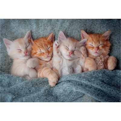Castorland - Puzzle The Sweetest Kittens - 1 000 piese