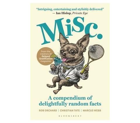 Misc - Delayed Gratification