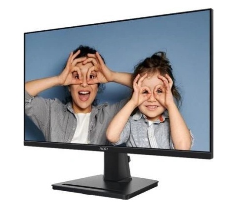 MSI PRO MP251