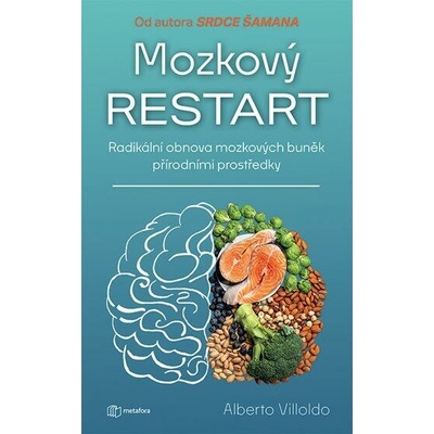 Mozkový restart - Villoldo Albert
