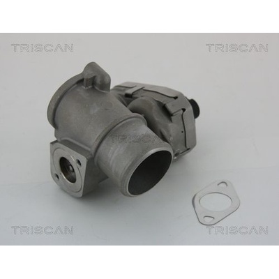 AGR - Ventil TRISCAN 8813 16101
