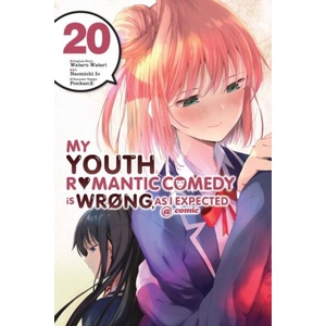 MY YOUTH ROMANTIC COMEDY IS WRONG V20 (ISBN: 9781975391119)