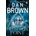 Deception Point - Dan Brown
