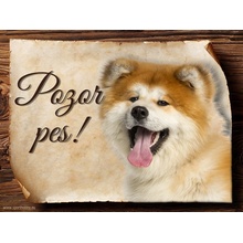 Sport hobby Cedulka Akita Inu Pozor pes 20 x 15 cm