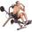 Body Solid GAB300