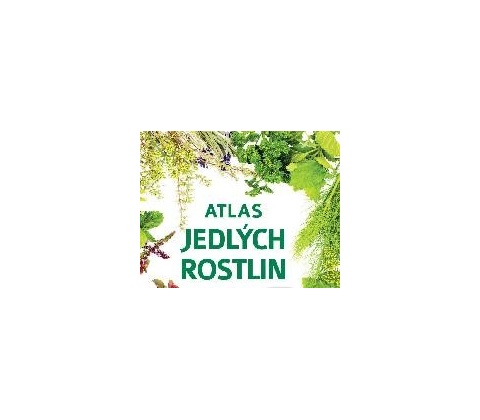 Atlas bylin