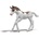 Schleich Колекционерско жребче Dipper (81459)