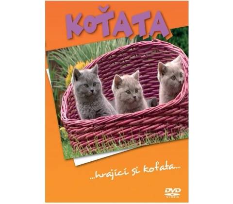 Koťata DVD