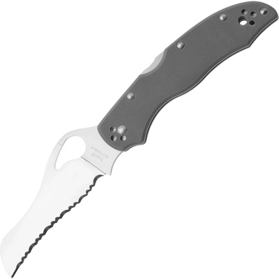 Spyderco Gooney 9Cr18MoV G10 Back lock BY24GSGY