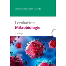 Lernkarten Mikrobiologie