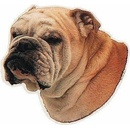 Trixie, Samolepka hlava Rottweiler tělo, kupírovaný