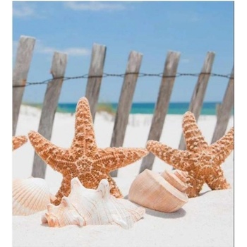 DIMEX ART s. r. o Флизелинов фототапет морска звезда на плажа 225 x 250 см