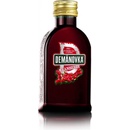 Demänovka Cranberry 30% 0,04 l (čistá fľaša)