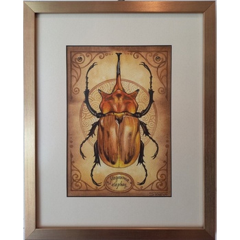 Картина с Бръмбър - слон (megasoma elephas)