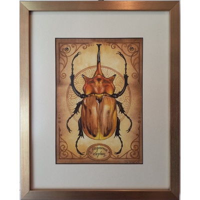 Картина с Бръмбър - слон (megasoma elephas)