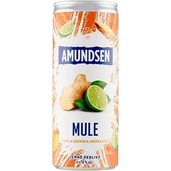 Amundsen 1 l (holá láhev)