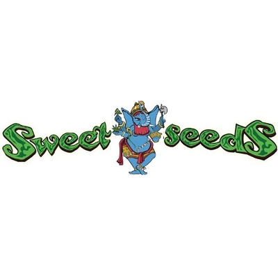 Sweet Seeds Fast Bud 2 AUTO semena neobsahují THC 3 ks – Zboží Mobilmania