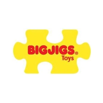 Bigjigs Barevná Jenga