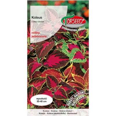 Semená Koleus Žihľavka mix farieb zmes 0,1 g - Torseed