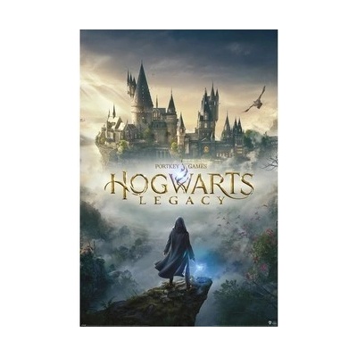 Plagát, Obraz - Harry Potter - Hogwarts Legacy, (61 x 91.5 cm)