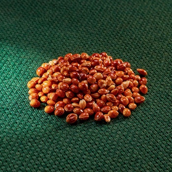 AROS proso seté – červené