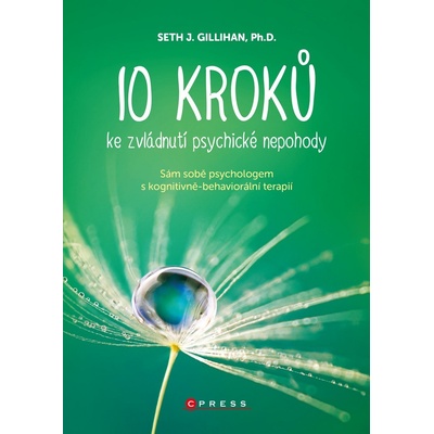 10 kroků ke zvládnutí psychické nepohody - Seth J. Gillihan