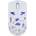 White Shark DAGONET-W