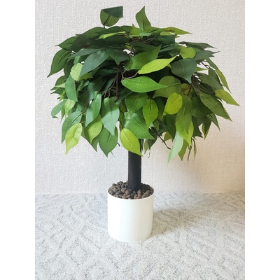Umelý stromček- fikus zelený 50cm
