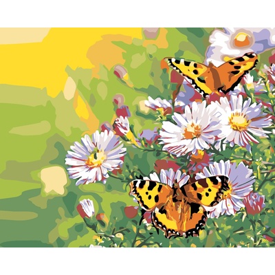 ZUTY Malování podle čísel MOTÝLCI NA KOPRETINÁCH 40 x 50 cm