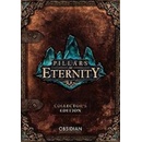 Pillars of Eternity (Champion Edition)