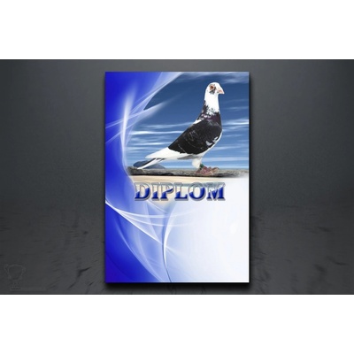 Diplom poštovní holub D88/A5 – Zboží Dáma Diplom poštovní holub D88/A5 – Zboží Dáma