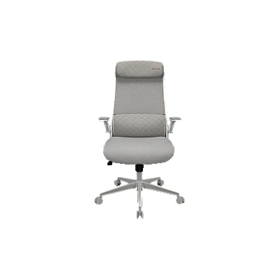 COUGAR Stryder White Gaming Chair (CGR-STD-ASW)