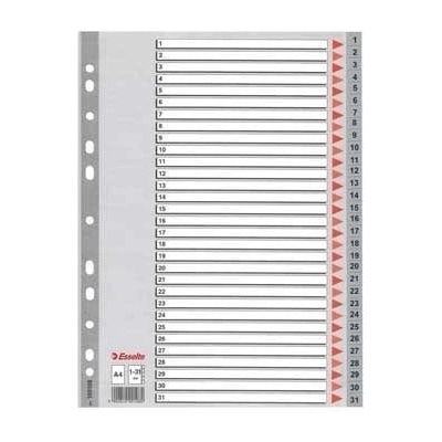 ESSELTE Rejstříky, šedá, A4, plast, 1-31, ESSELTE 400452