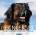 Leonberger