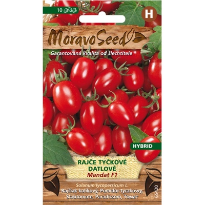 MORAVOSEED Rajče tyčkové datlové MANDAT F1 hybrid