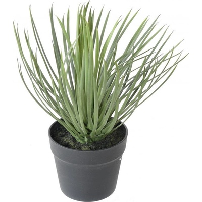 Umelá rastlina Yucca Rostrata, 40cm