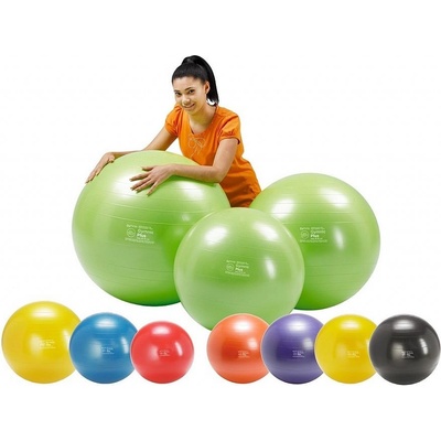 GYMNIC PLUS 65