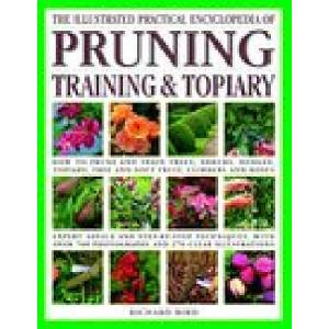 Pruning, Training & Topiary, Illustrated Practical Encyclopedia of | Bird, Richard (ISBN: 9781846814723)