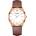 Swiss Military Hanowa 16-4042.09.001